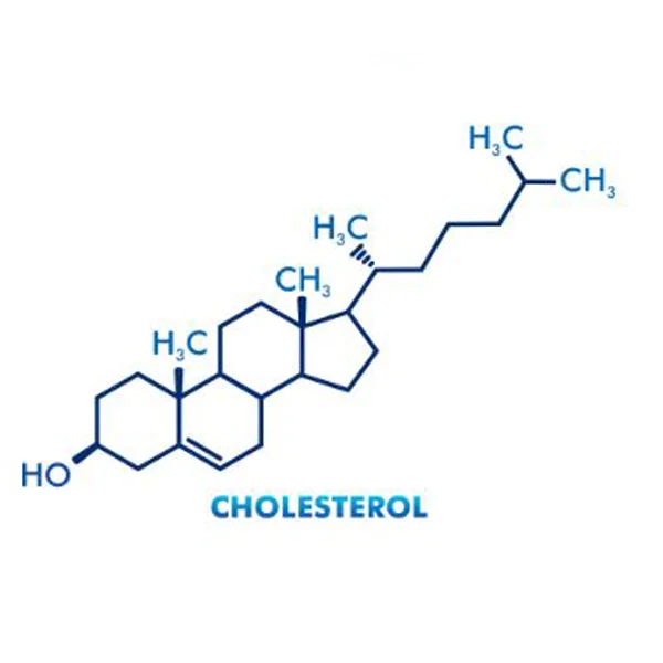 MOLECULAR MODEL SET 90 CHOLESTEROL (C27H460)