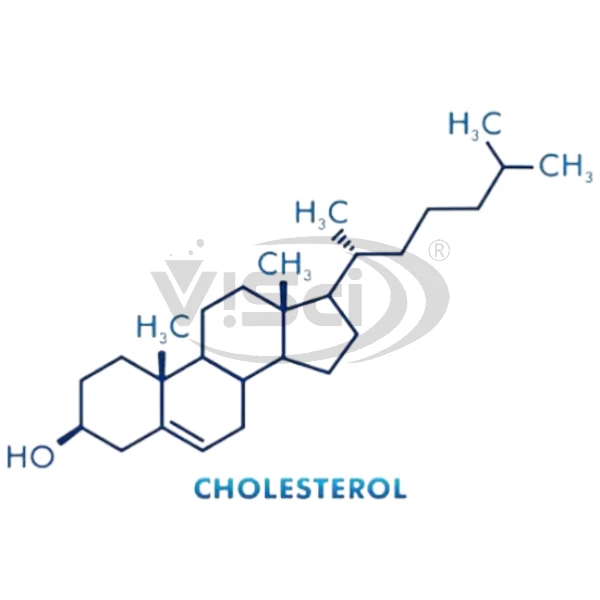 MOLECULAR MODEL SET 90 CHOLESTEROL (C27H460) Manufacturers & Suppliers in India