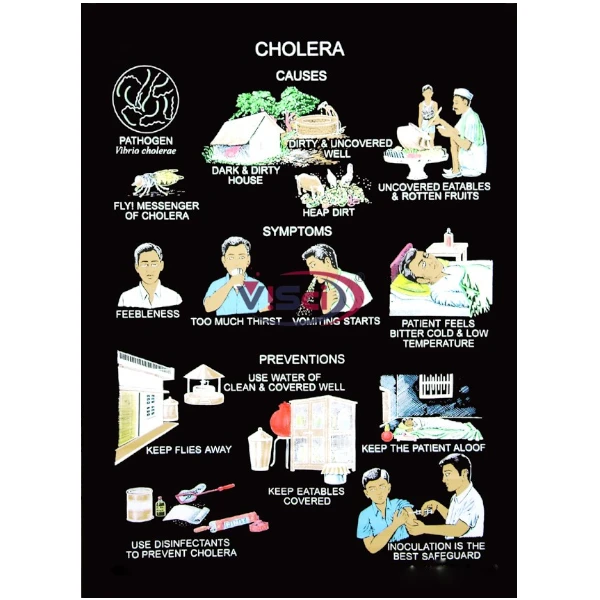 Cholera