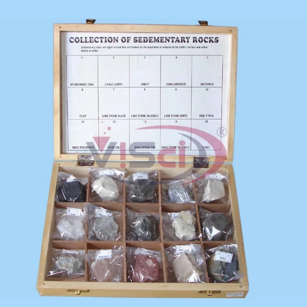Colection of 15 Sedementary Rocks