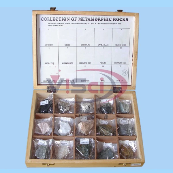 Collection of 15 Metamorphic Rocks