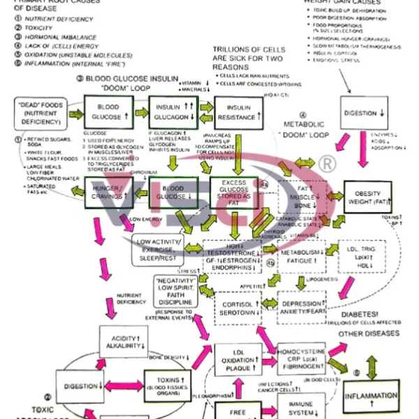 Biochemical Aspects of Diabetes Mellitus