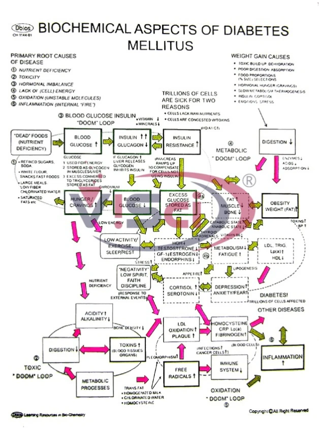 Biochemical Aspects of Diabetes Mellitus