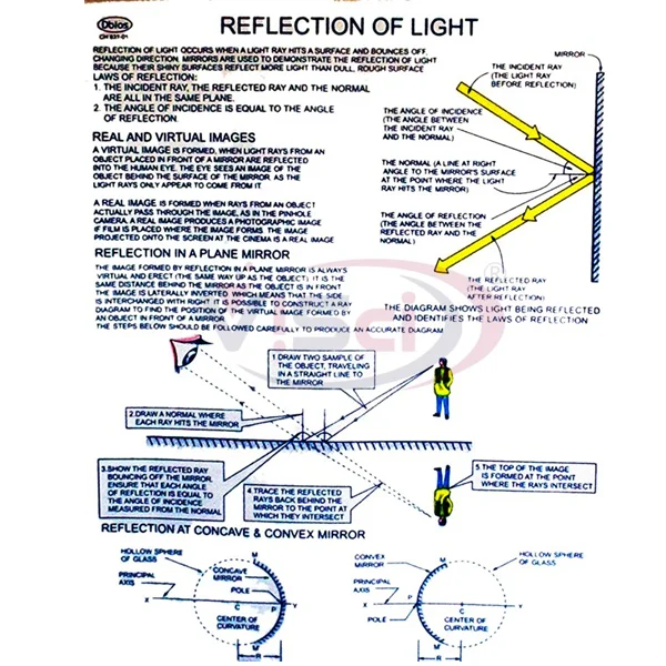 Reflection of Light Manufacture Supplier & Exporter in India